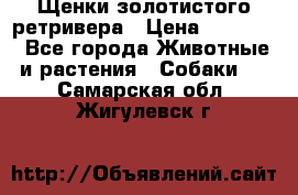 Щенки золотистого ретривера › Цена ­ 15 000 - Все города Животные и растения » Собаки   . Самарская обл.,Жигулевск г.